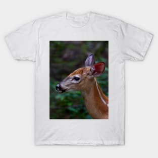 Fawn - White-tailed Deer T-Shirt